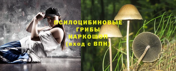 прущий лед Козловка