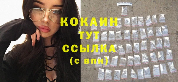 прущий лед Козловка