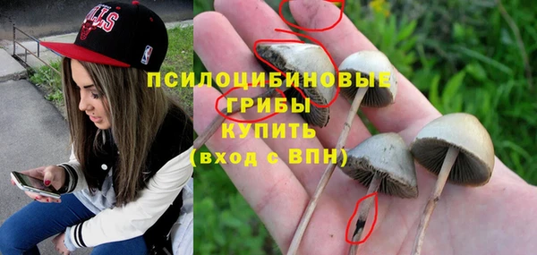 прущий лед Козловка