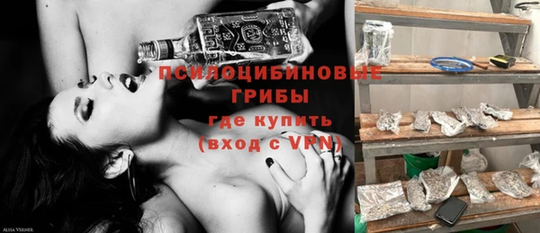 прущий лед Козловка