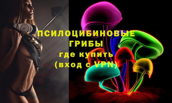 метадон Козельск