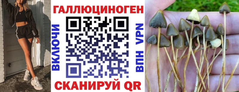 Купить где  Долинск  Галлюциногенные грибы ЛСД 